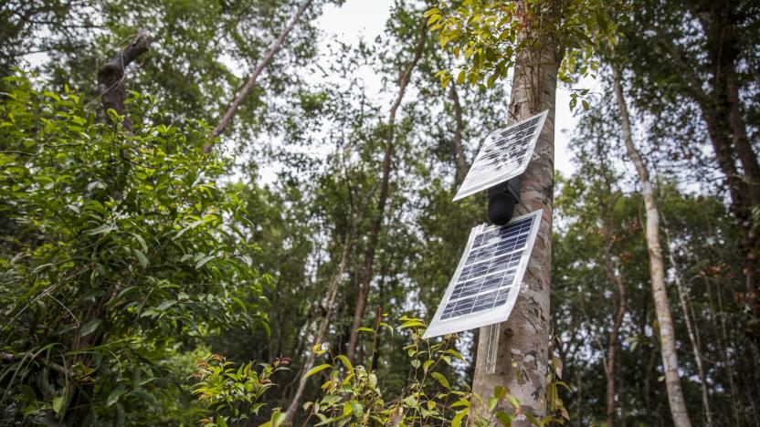 حفظ جنگل ها با استارتاپ Rainforest Connection